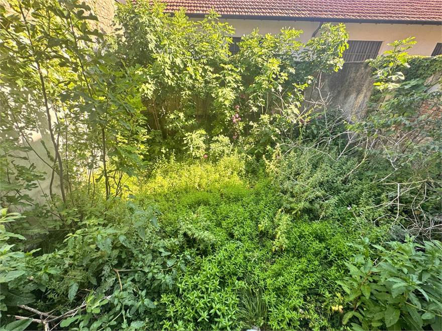 Photo 36